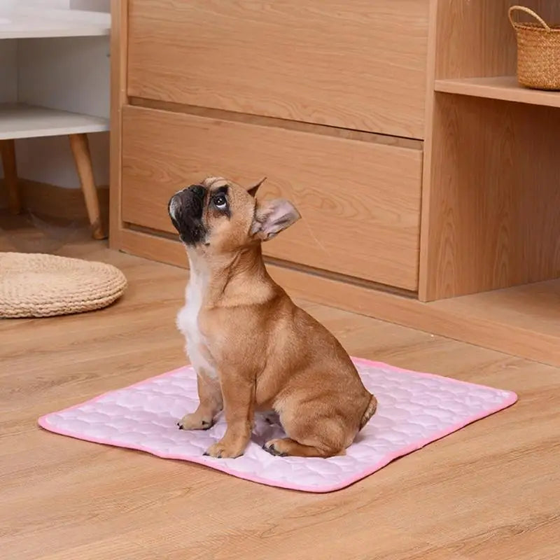 Washable Cooling Dog & Cat Mat