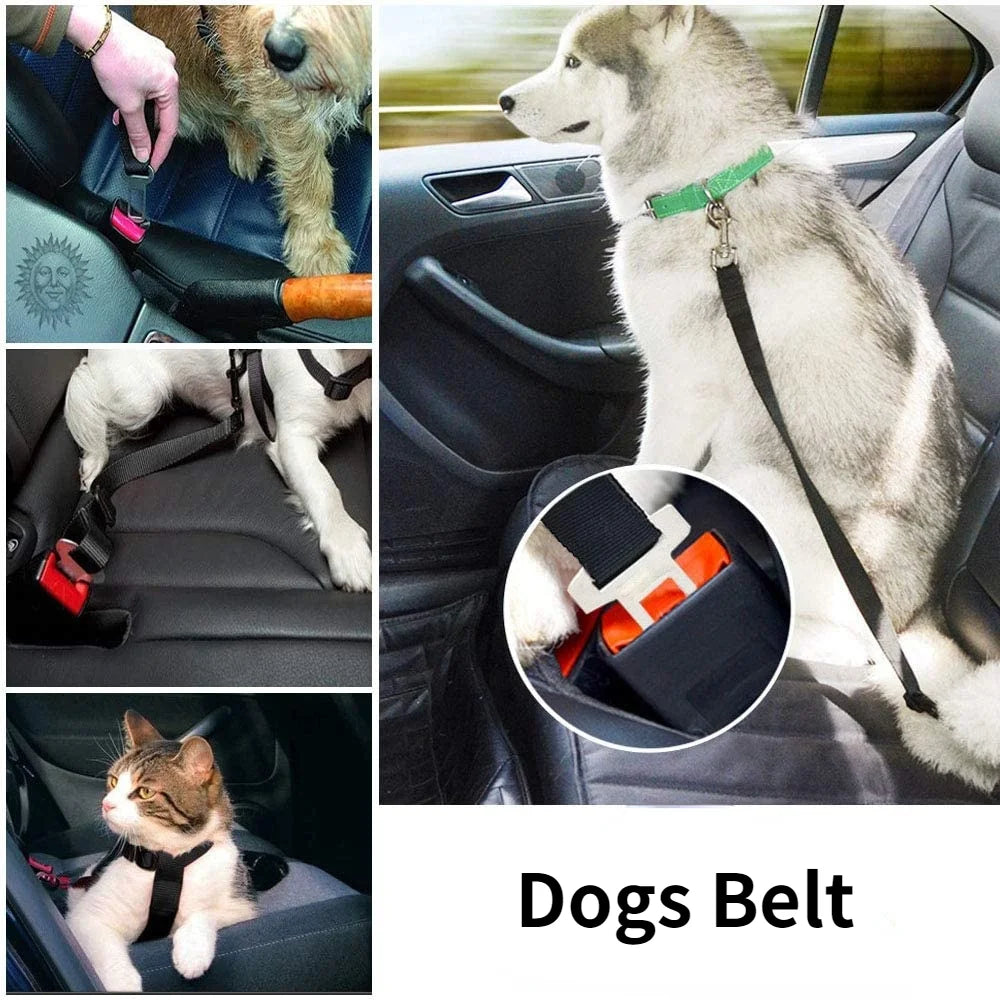 Adjustable Pet Car Seat Belt β Dog & Cat Safety Harness Lead Clip
