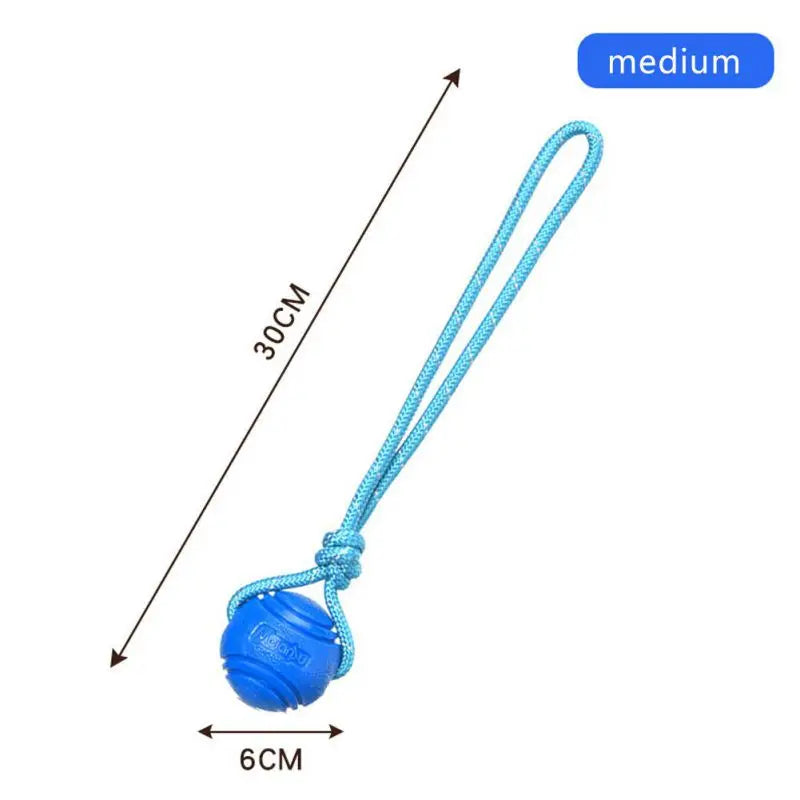Dog Ball Toys