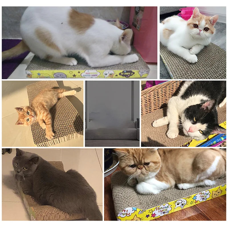 Corrugated Cat Scratcher Toy
