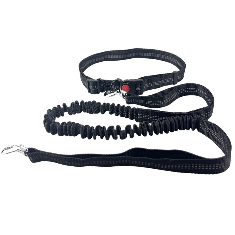 Hands-Free Dog Leash