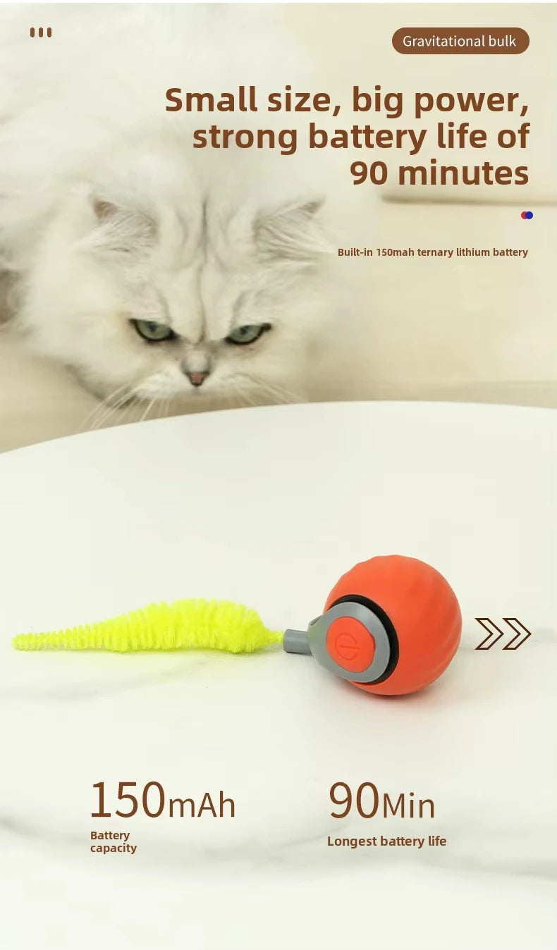 Speedy Tail 2.0 Cat Toy