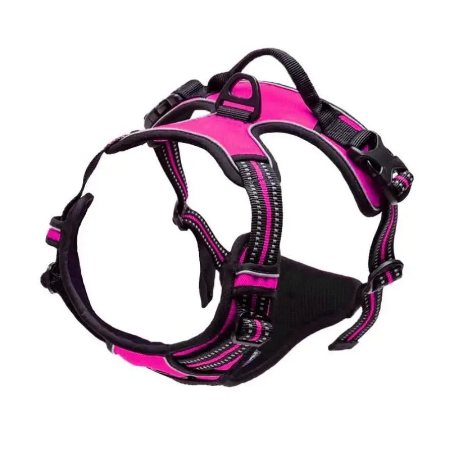 Dog Collars, Harness & Leash Set