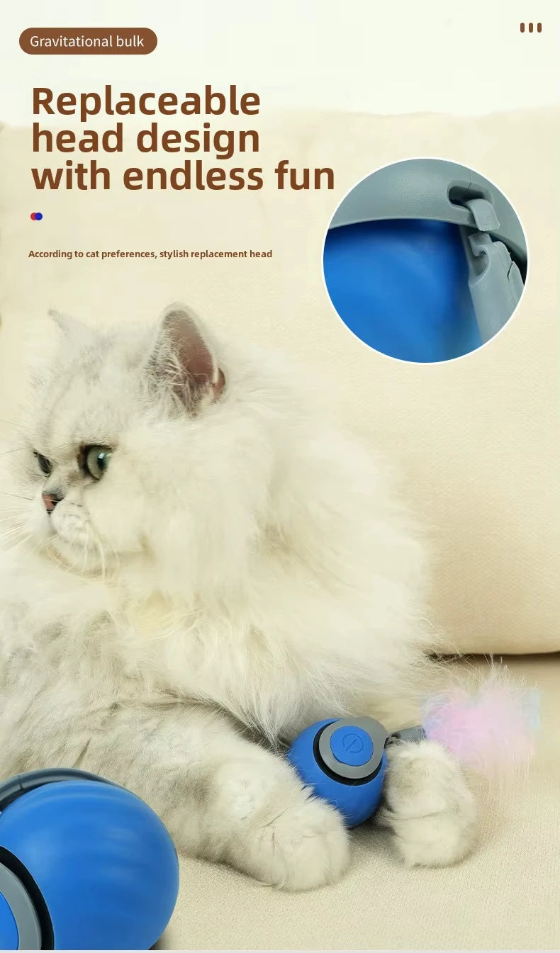 Speedy Tail 2.0 Cat Toy