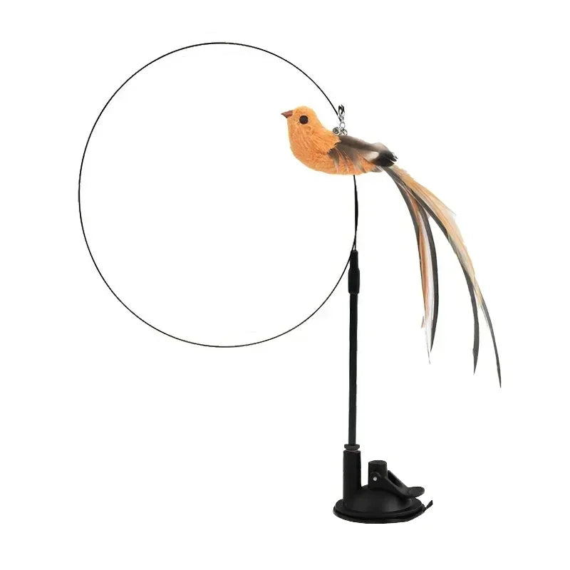 Interactive Peacock Cat Toy