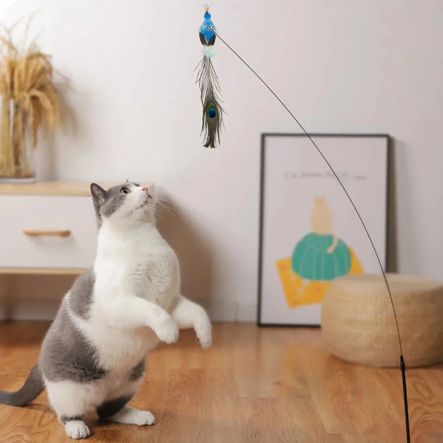 Interactive Peacock Cat Toy