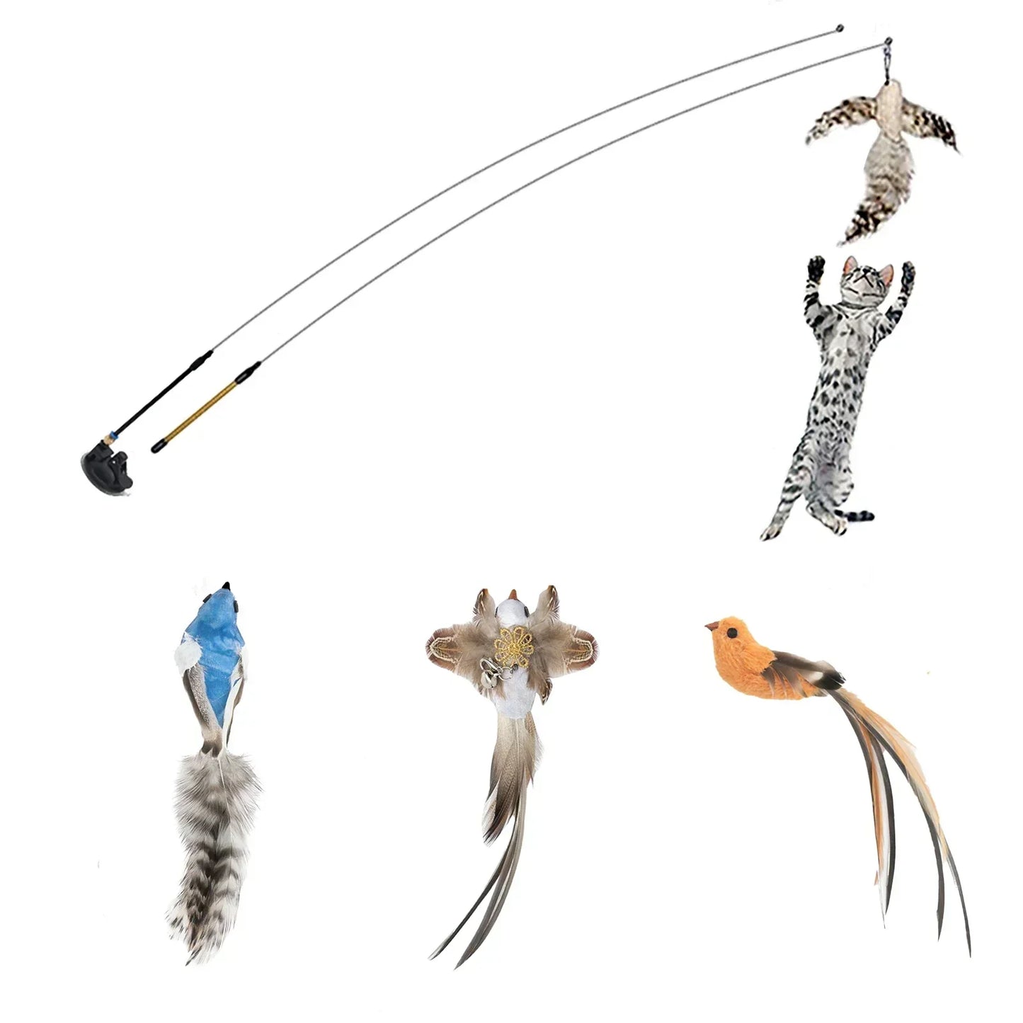 Interactive Peacock Cat Toy
