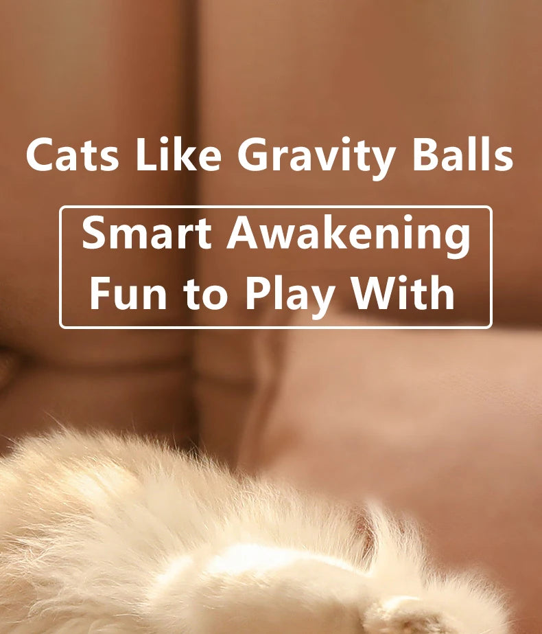 Interactive Cat Ball