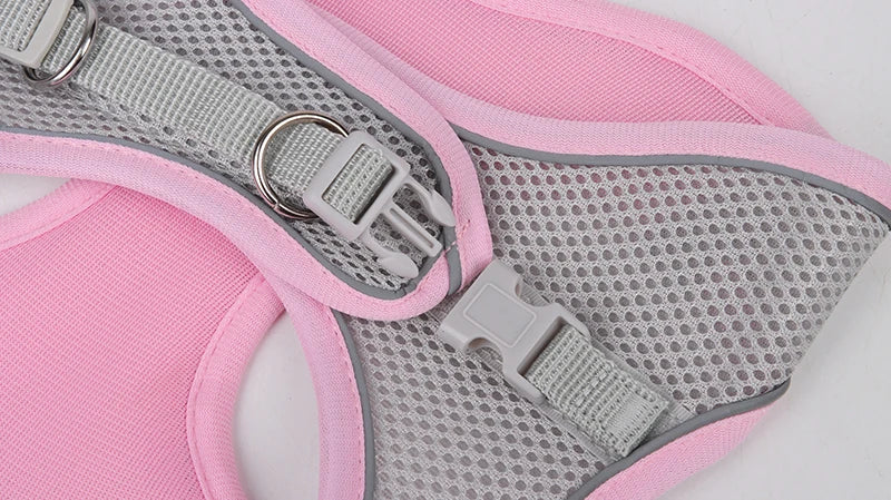 Adjustable Dog Harness & Leash Set โ Small Dogs, Puppies & Cats