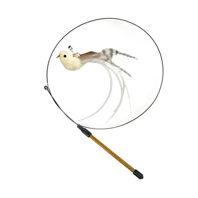 Interactive Peacock Cat Toy