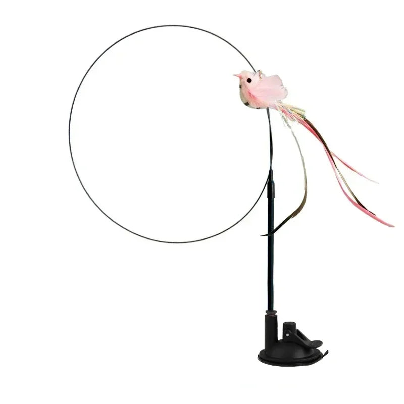 Interactive Peacock Cat Toy