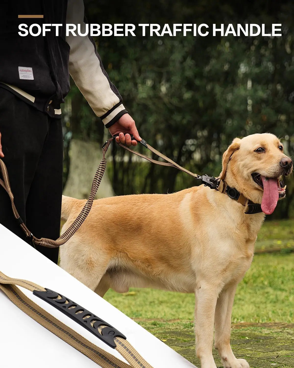 Reflective Shock-Absorbing Dog Leash