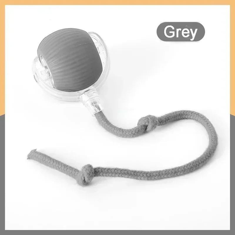 Speedy Tail 2.0 Cat Toy