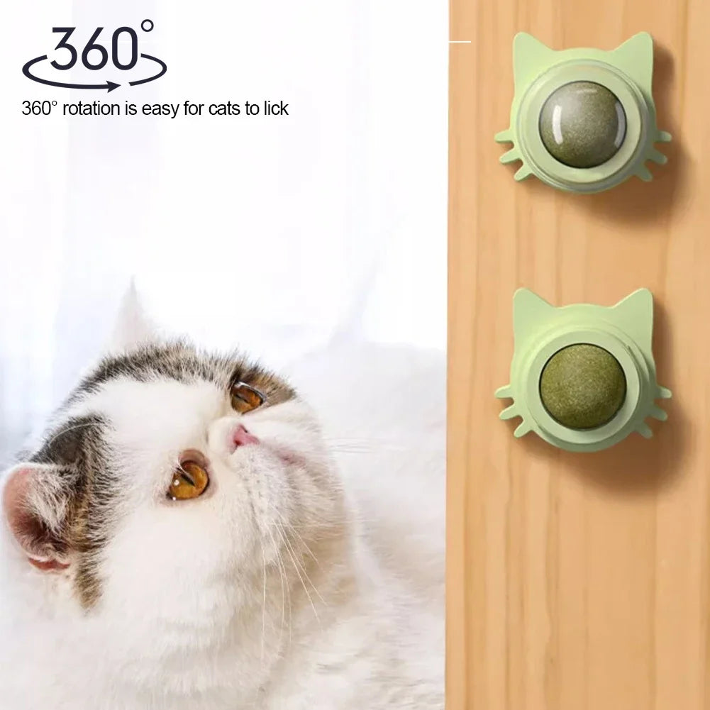 Catnip Lollipop Treat β Wall-Mount Cat Snack for Dental Care & Fresh Breath