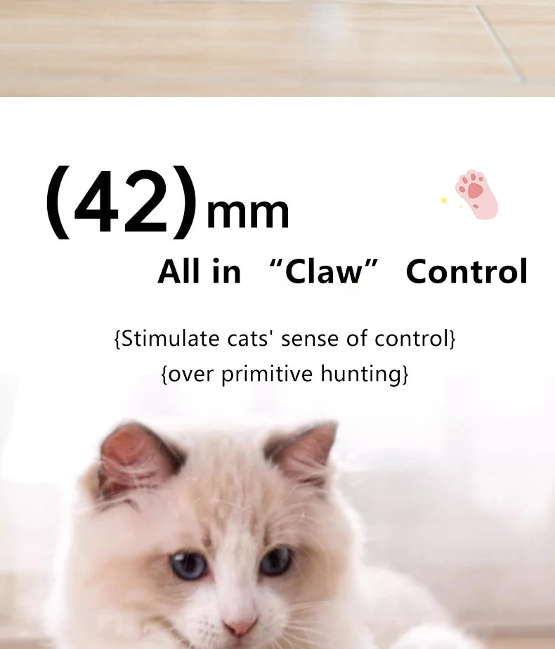 Interactive Cat Ball