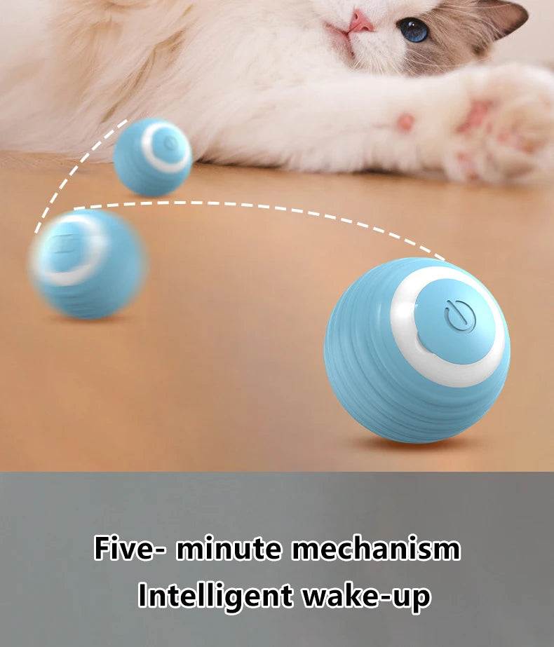 Interactive Cat Ball