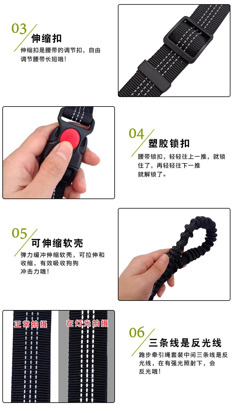 Hands-Free Dog Leash