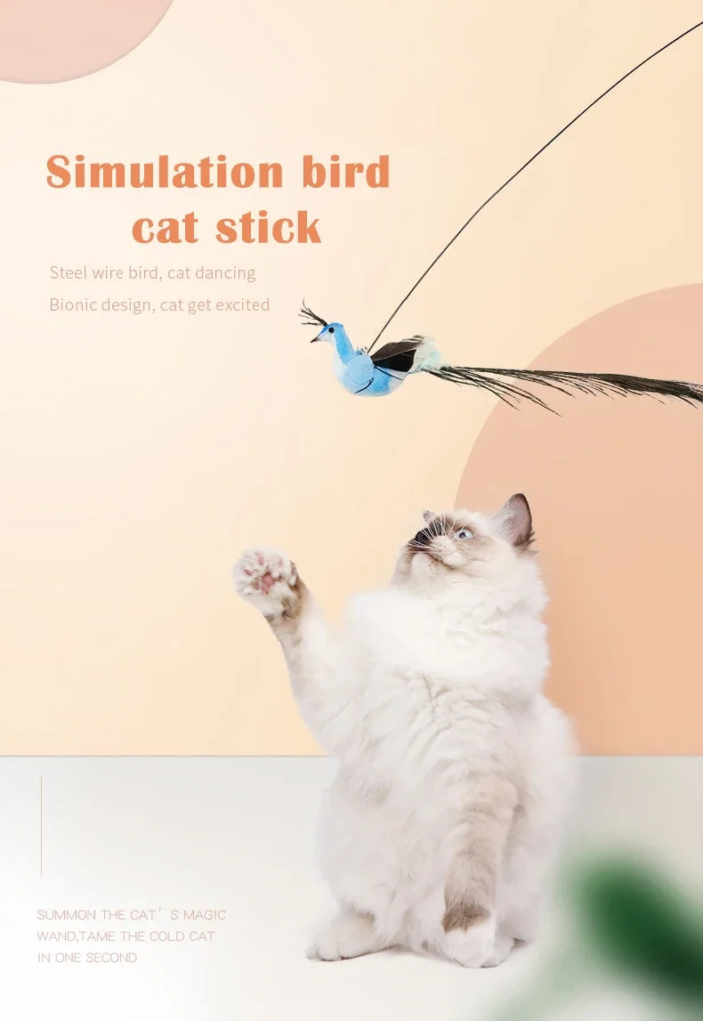 Interactive Peacock Cat Toy