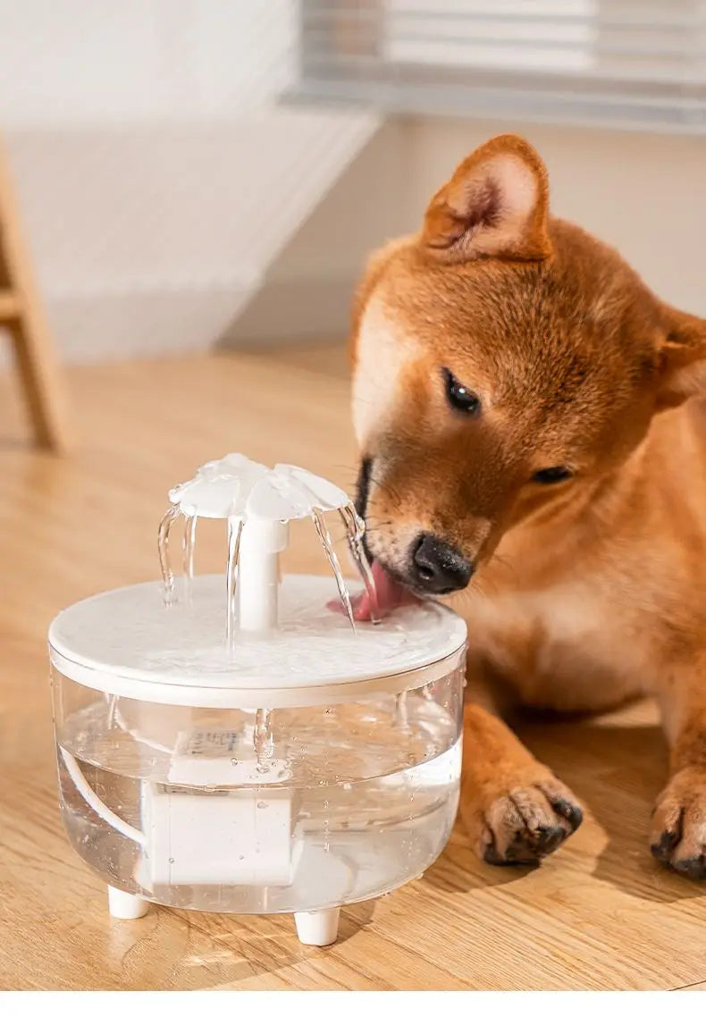 USB Electric Cat Water Fountain