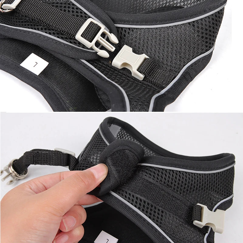 Adjustable Dog Harness & Leash Set โ Small Dogs, Puppies & Cats