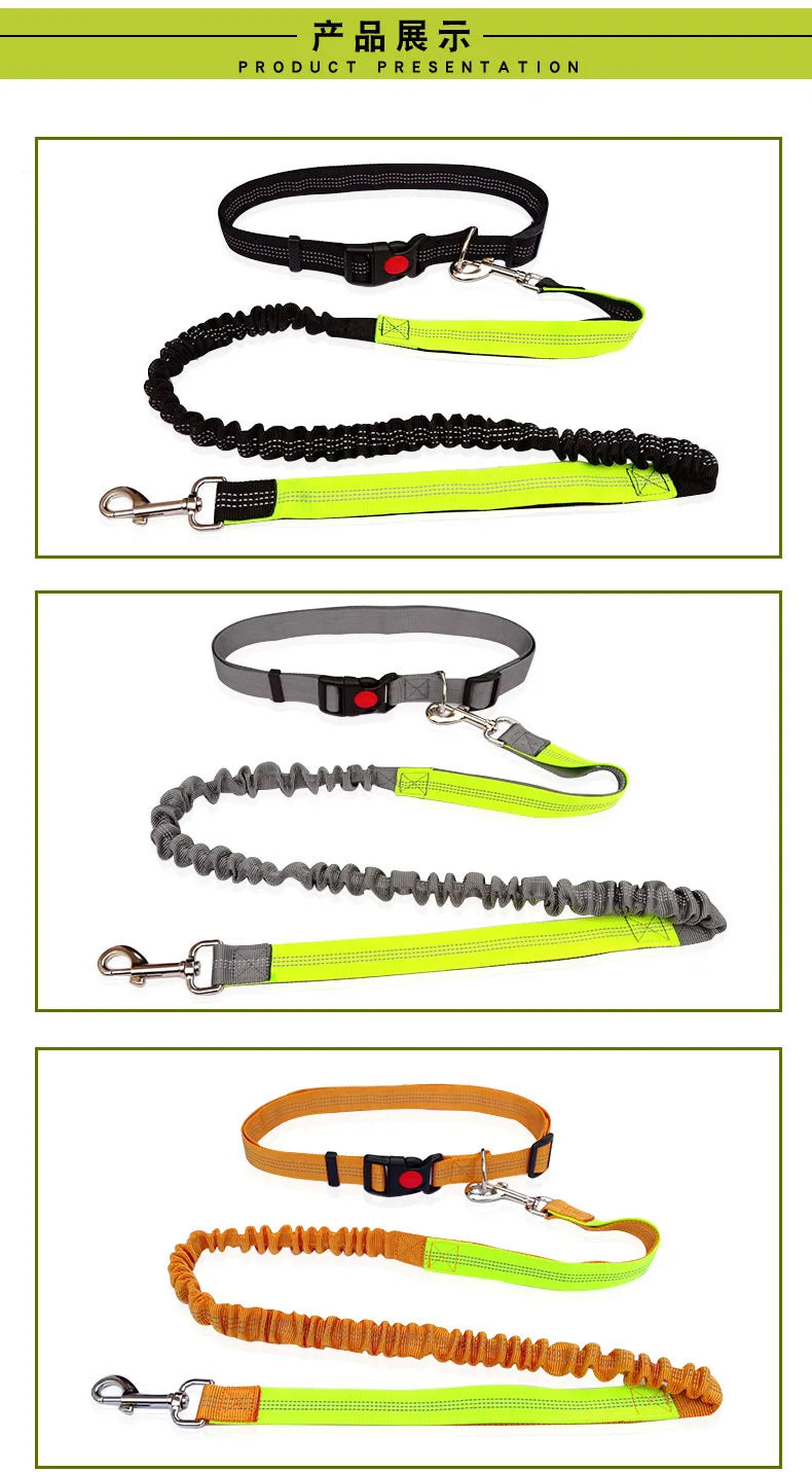 Hands-Free Dog Leash