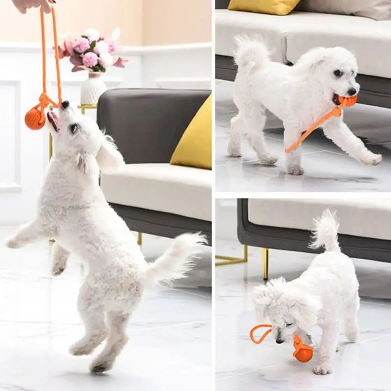Dog Ball Toys