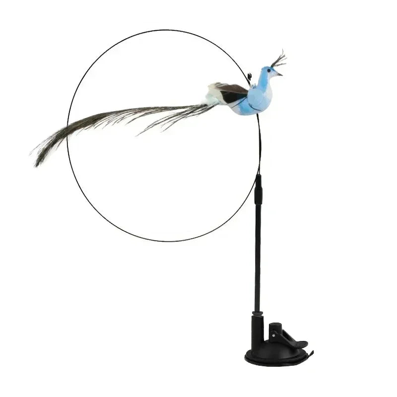 Interactive Peacock Cat Toy