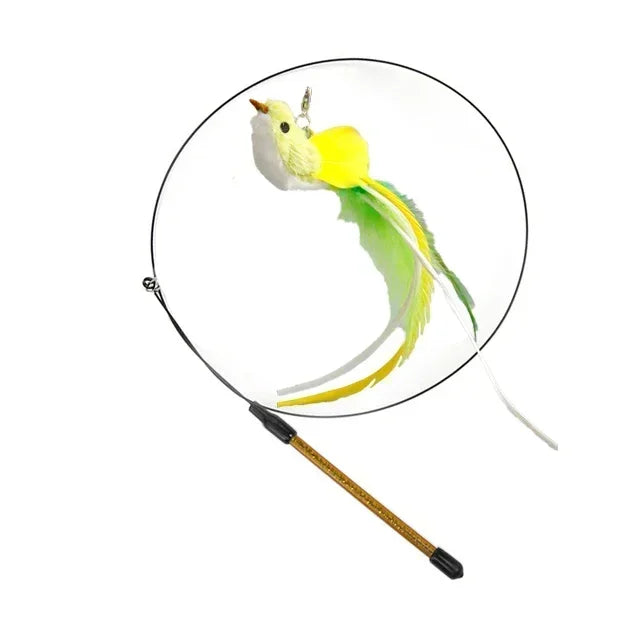 Interactive Peacock Cat Toy