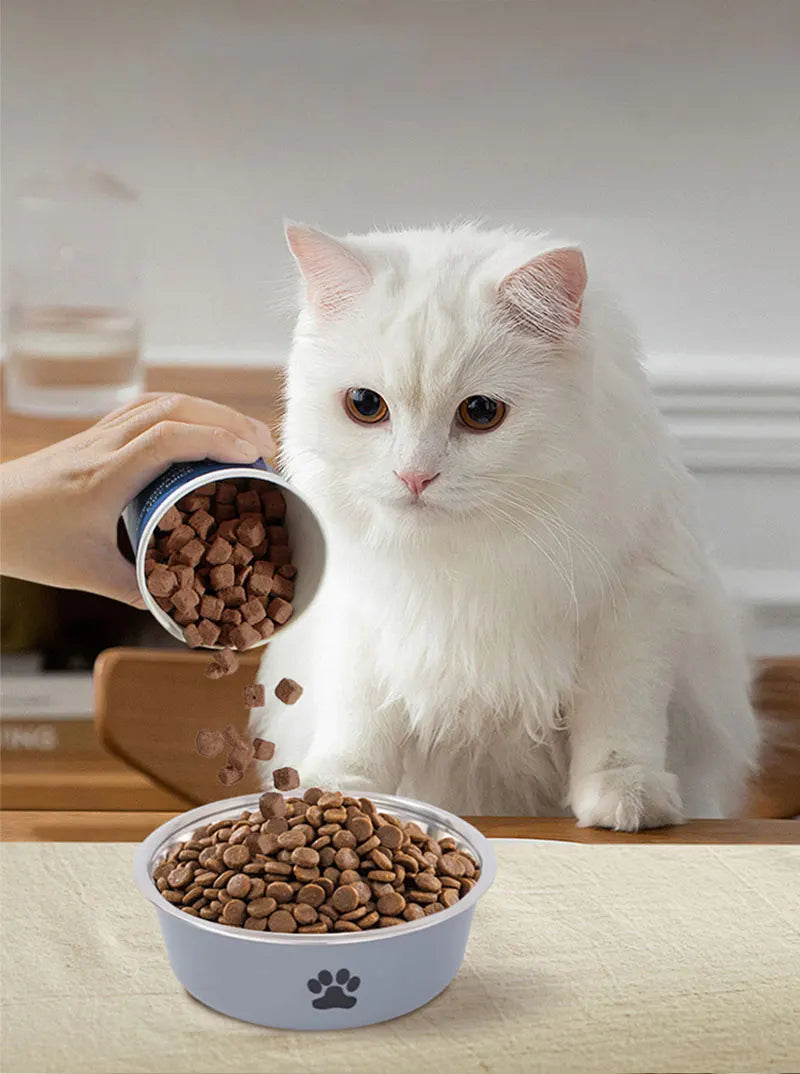 Stainless Steel Pet Bowl