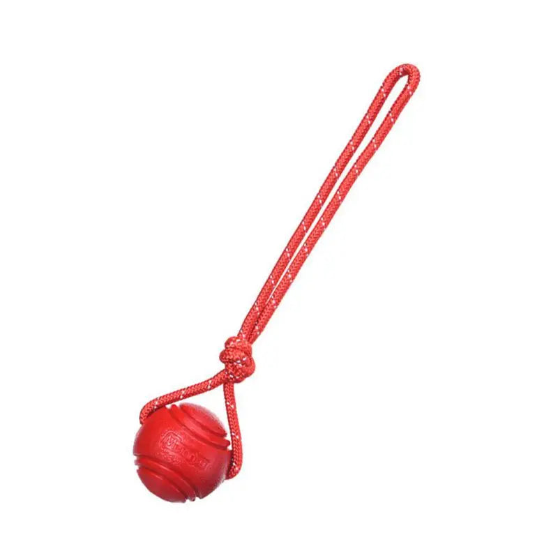Dog Ball Toys