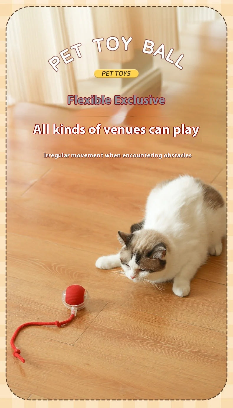 Automatic Rolling Cat Toy – Rechargeable & Tail Flicking