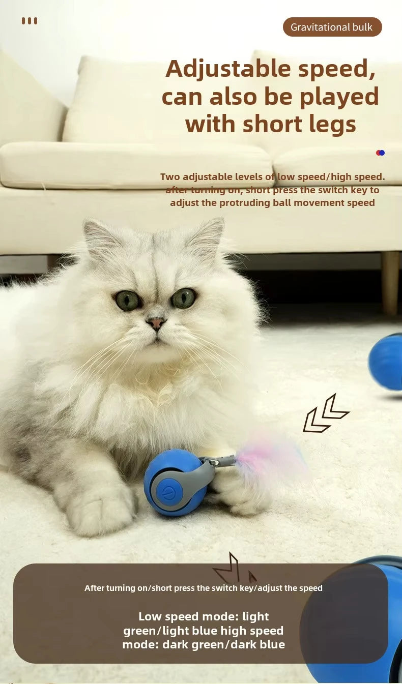 Speedy Tail 2.0 Cat Toy