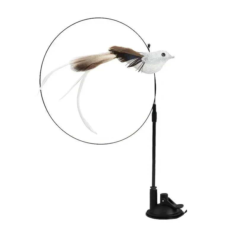 Interactive Peacock Cat Toy