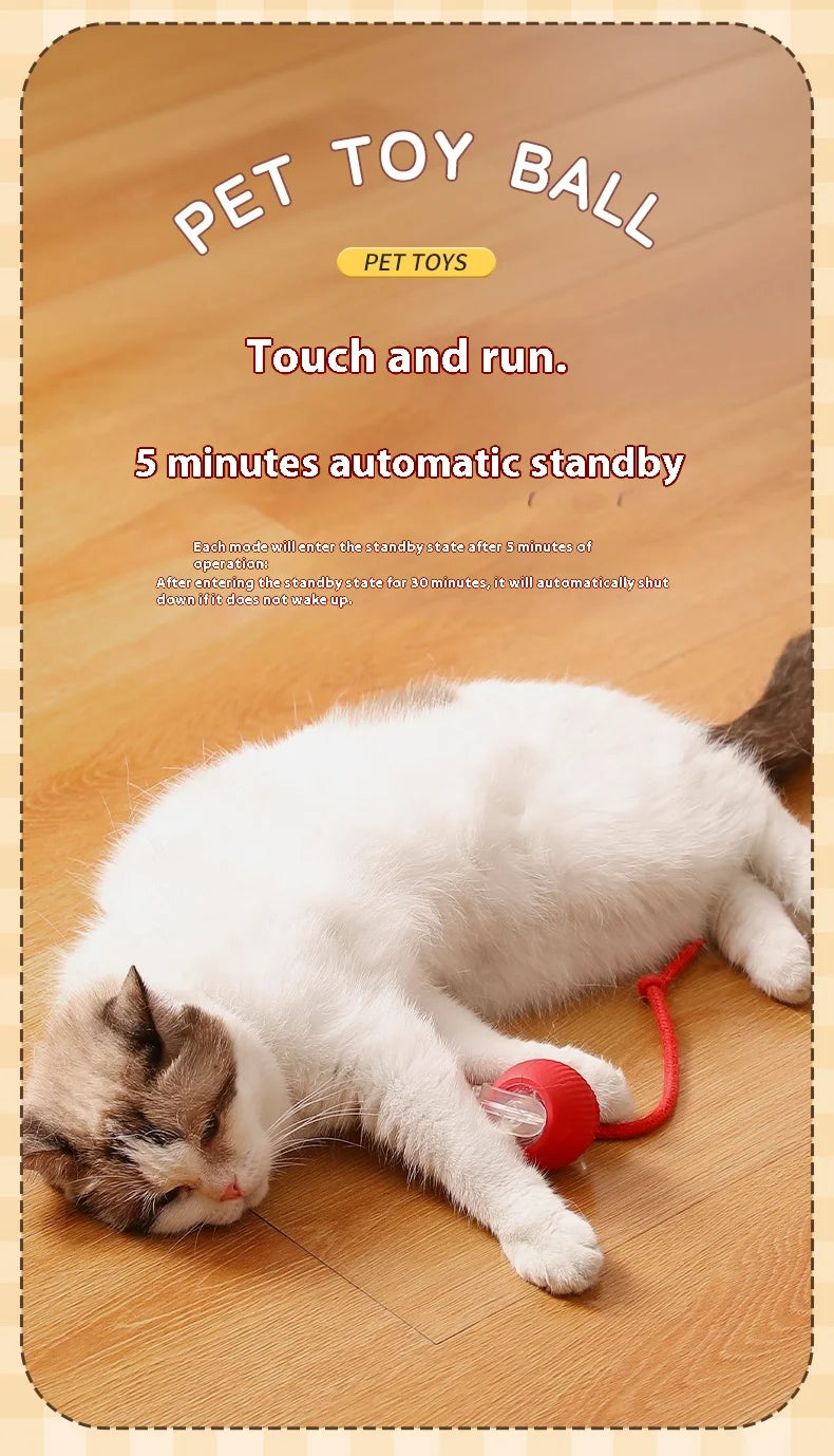 Automatic Rolling Cat Toy – Rechargeable & Tail Flicking