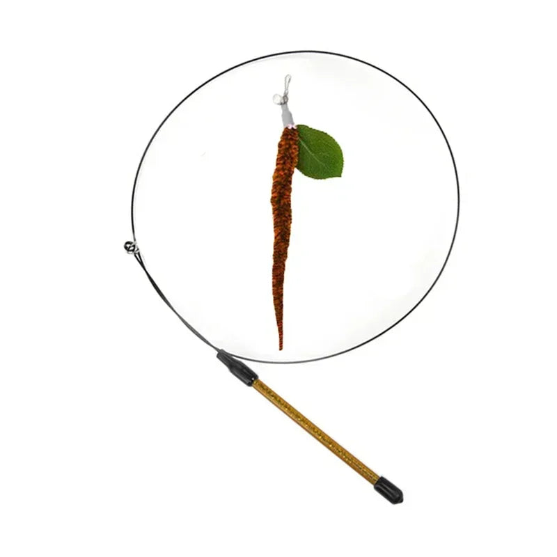 Interactive Peacock Cat Toy