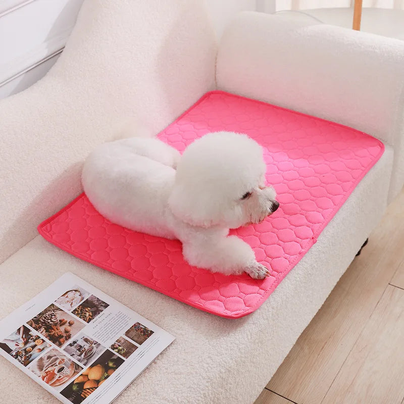 Reusable Dog Pee Pad Blanket