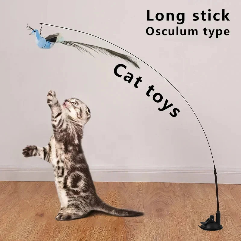 Interactive Peacock Cat Toy