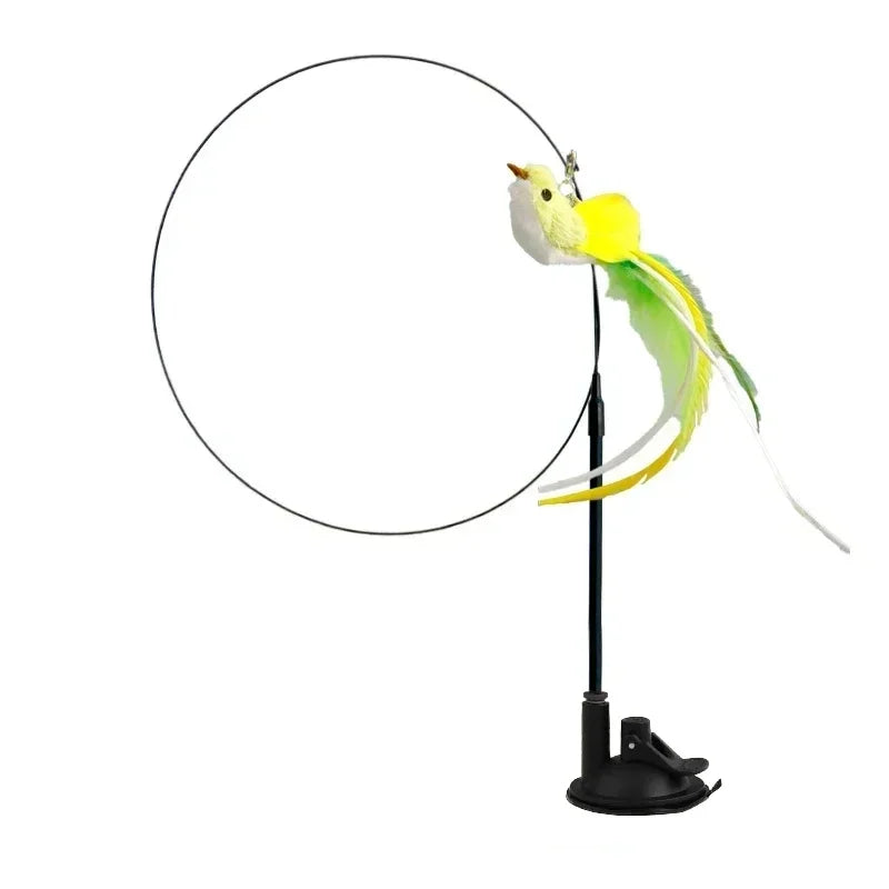 Interactive Peacock Cat Toy