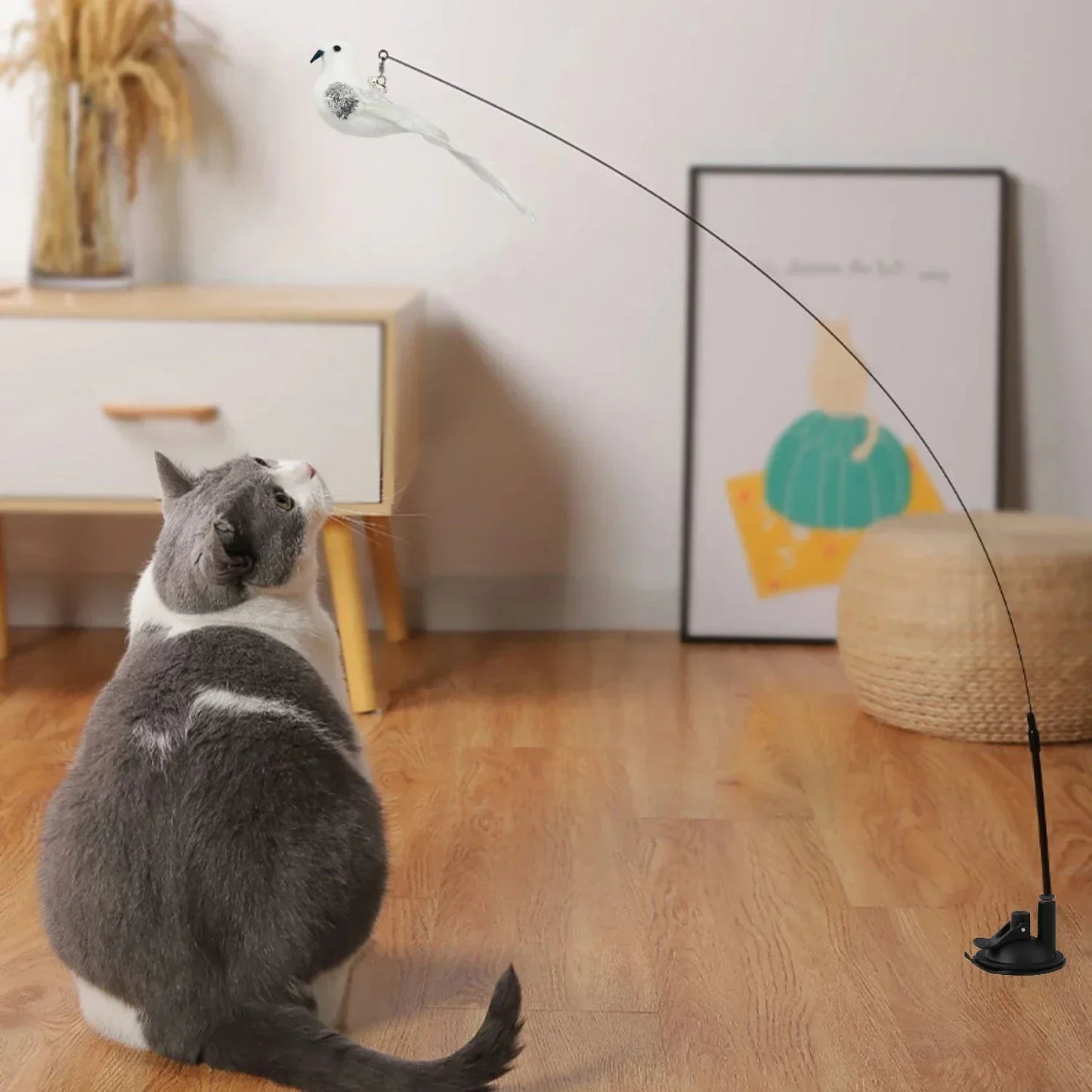 Interactive Peacock Cat Toy