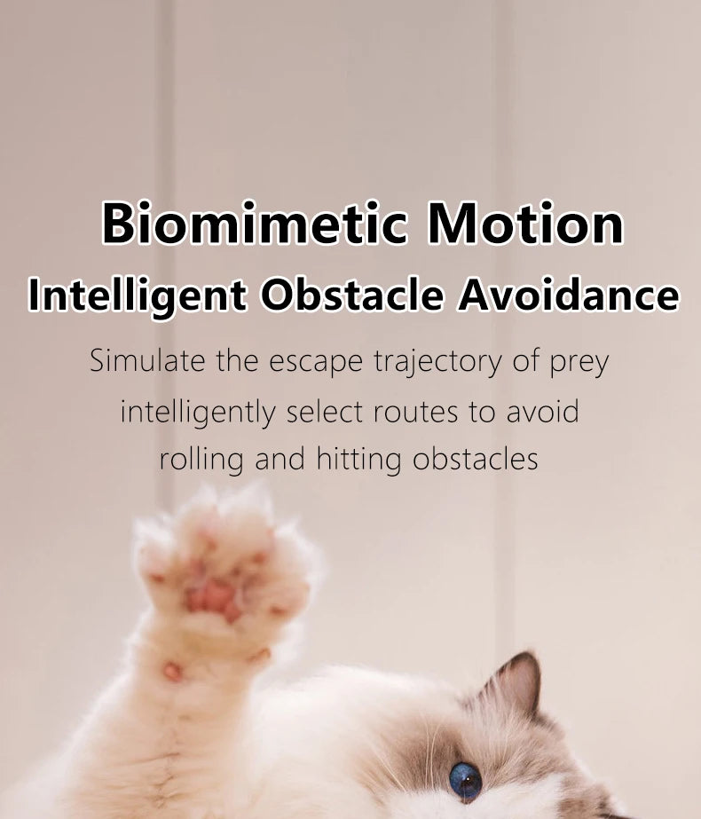 Interactive Cat Ball