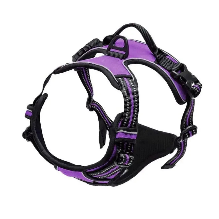 Dog Collars, Harness & Leash Set