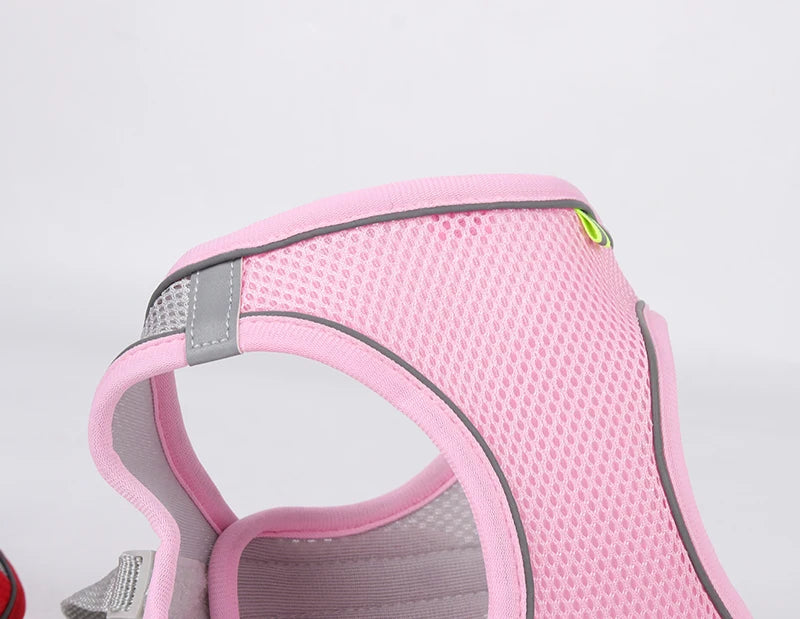 Adjustable Dog Harness & Leash Set โ Small Dogs, Puppies & Cats