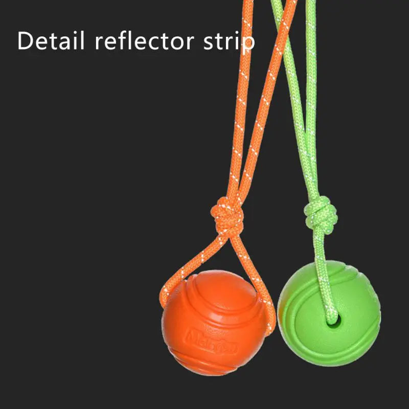 Dog Ball Toys