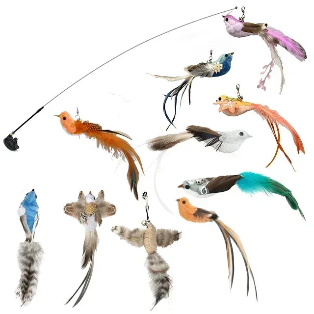 Interactive Peacock Cat Toy