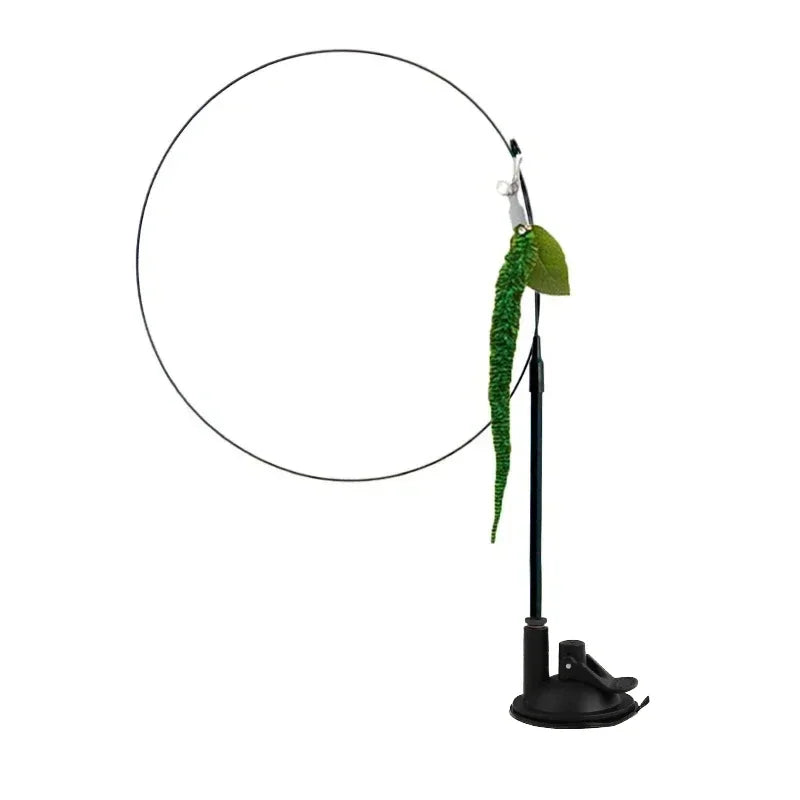 Interactive Peacock Cat Toy