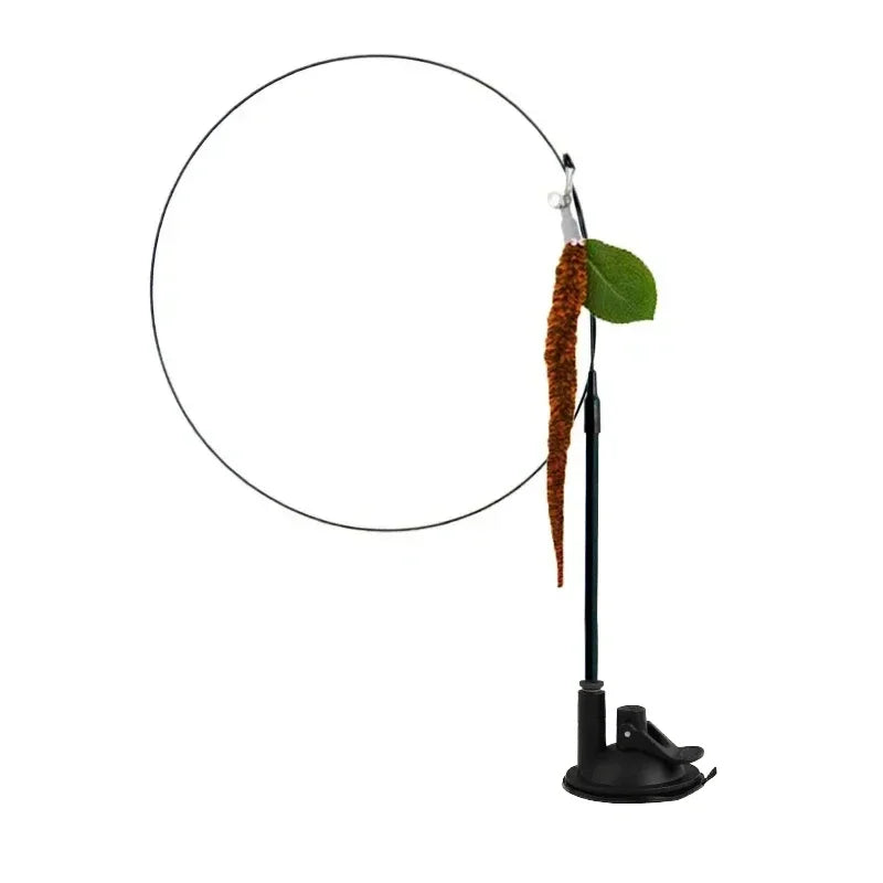 Interactive Peacock Cat Toy