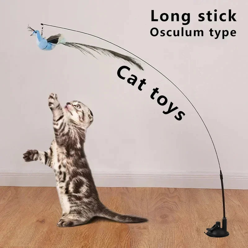Interactive Peacock Cat Toy
