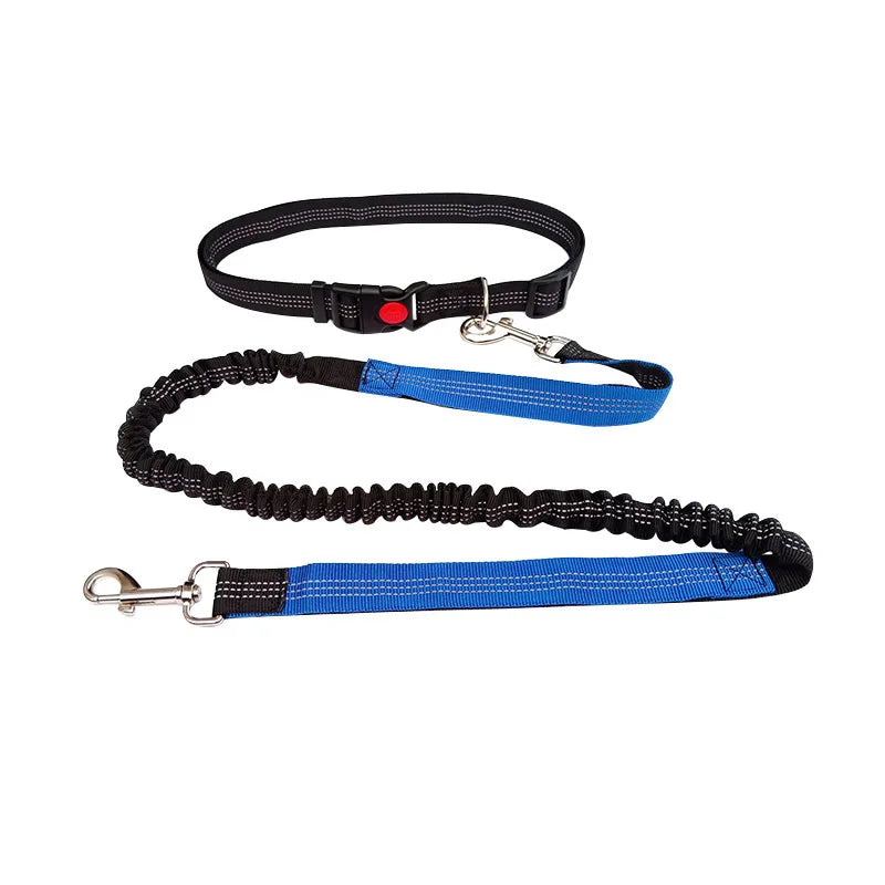 Hands-Free Dog Leash