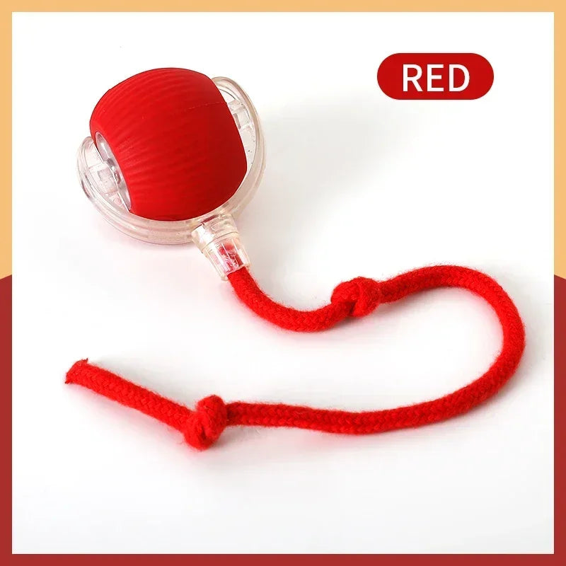 Automatic Rolling Cat Toy – Rechargeable & Tail Flicking