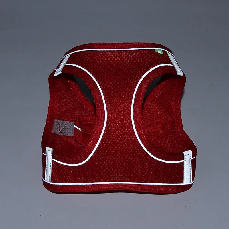 Adjustable Dog Harness & Leash Set โ Small Dogs, Puppies & Cats